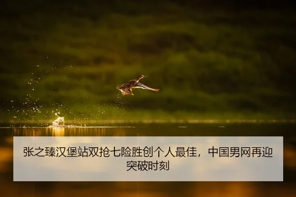 张之臻汉堡站双抢七险胜创个人最佳，中国男网再迎突破时刻
