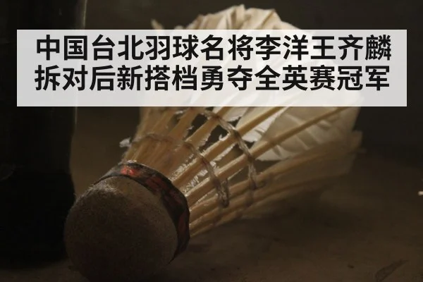 中国台北羽球名将李洋王齐麟拆对后新搭档勇夺全英赛冠军