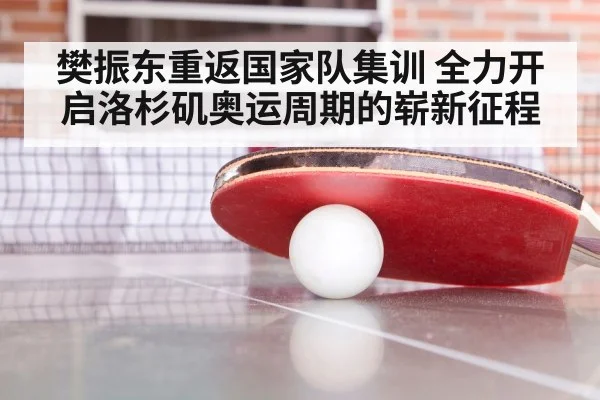樊振东重返国家队集训 全力开启洛杉矶奥运周期的崭新征程