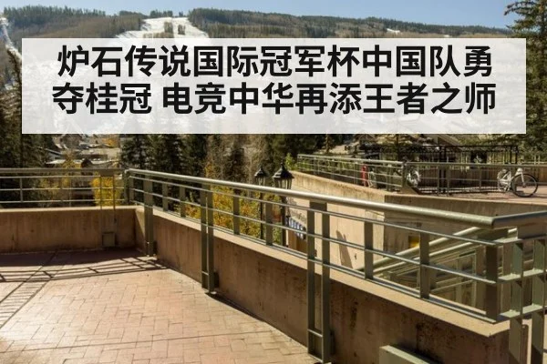 炉石传说国际冠军杯中国队勇夺桂冠 电竞中华再添王者之师